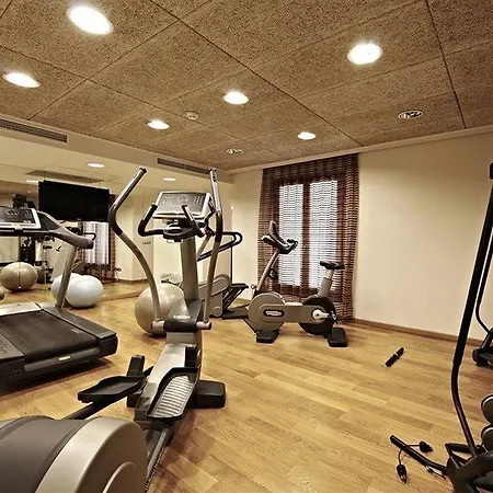 Petit Palace Tres 4* 帕爾馬