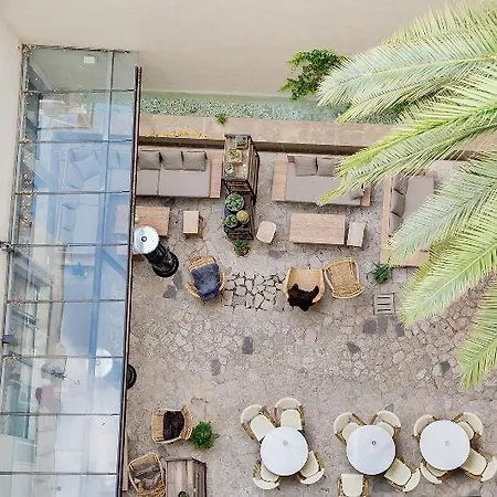 Hotel Petit Palace Tres Palma